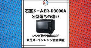 石窯ドーム 3000 型落ち