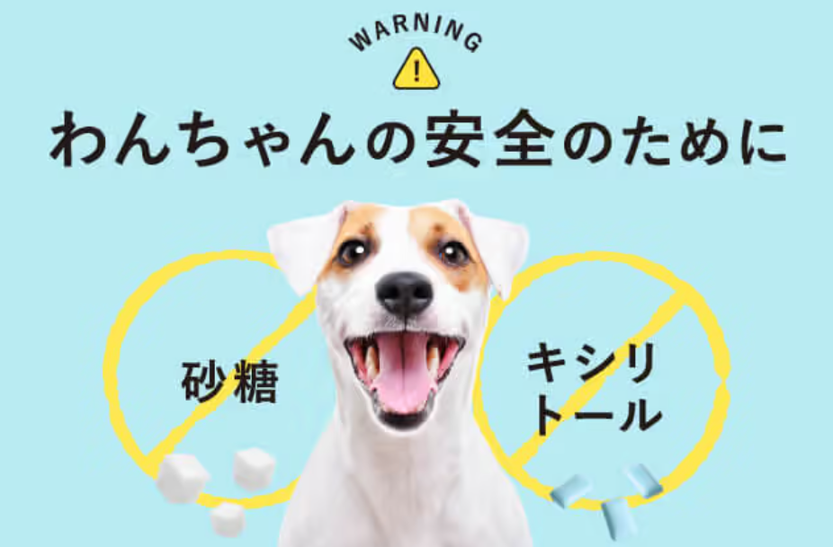 ドクターデンタルワン