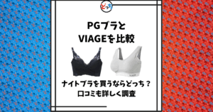 PGブラ VIAGE 比較